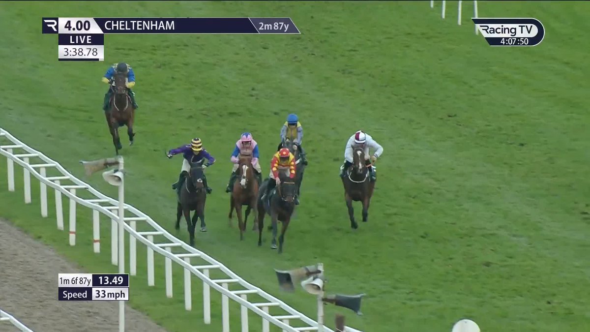 Coolness personified 👀 Harry Skelton doesn't need to move a muscle to guide Fortune De Mer home in the bumper. CheltenhamRacecourse | Dan Skelton Racing