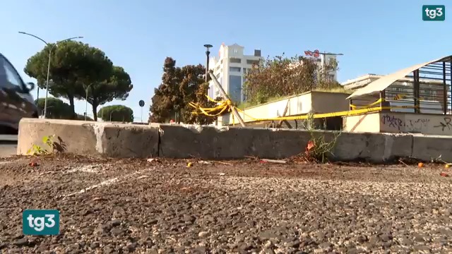 Ogni giorno in Italia nove persone muoiono a causa di incidenti stradali. Al Tg3 Luca Valdiserri, padre di Francesco, investito e ucciso due anni fa a Roma: "Sono morti di serie B, come quelli sul lavoro"