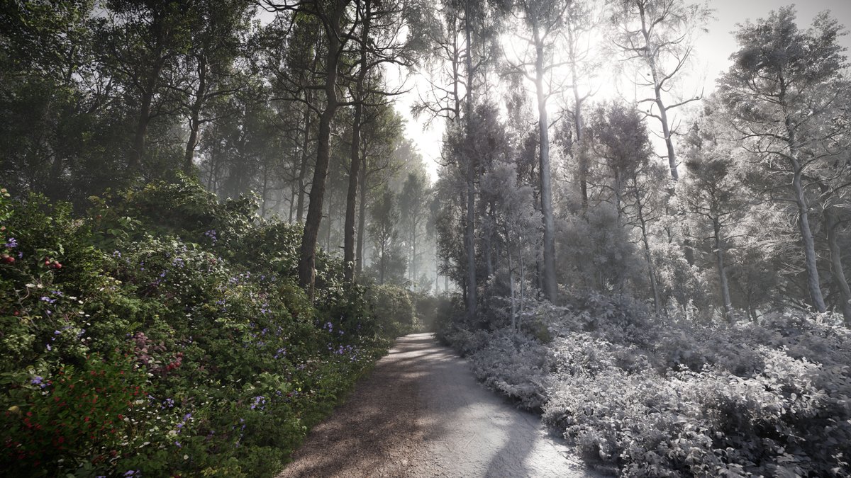 Echoes of Nature is a forest scene made in Unreal Engine 5 by VFX Artist Avinash Kumar 🌲 Avinash used this project to explore lighting in UE5. The scene is fully made and rendered in UE with Megascans assets for foliage and the surrounding environment.