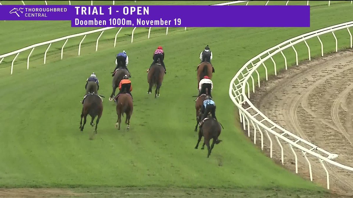 After being ruled out of the Winter Carnival earlier this year, it was feared Rothfire had run his last race. But the 'Thrilla From Chinchilla' was spotted at the Doomben trials this morning! RaceQ Brisbane Racing Club