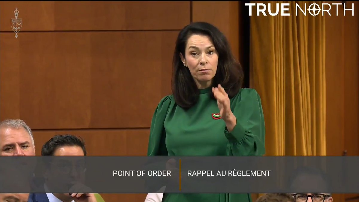 NDP MP Heather McPherson defends her decision to wear a pin to show her support for Palestine and compares it to the poppy worn during Remembrance Day.
