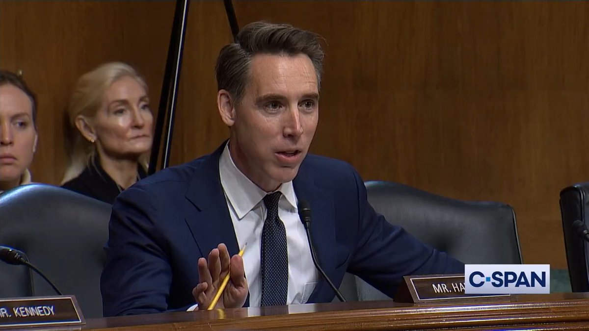 Sen. Josh Hawley to Visa &amp; Mastercard: "This is classic monopolistic behavior. Yet you're testimony...is you don't want any competition...I'm having a hard time finding that position defensible, let alone sympathetic...it's unbelievable the amount of money you're making."