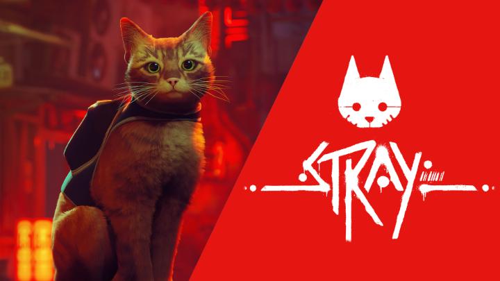 See the world through the eyes of a cat as you try to escape a decaying cybercity full of curious droids and hidden dangers in Stray – out now on #NintendoSwitch! 🐾: