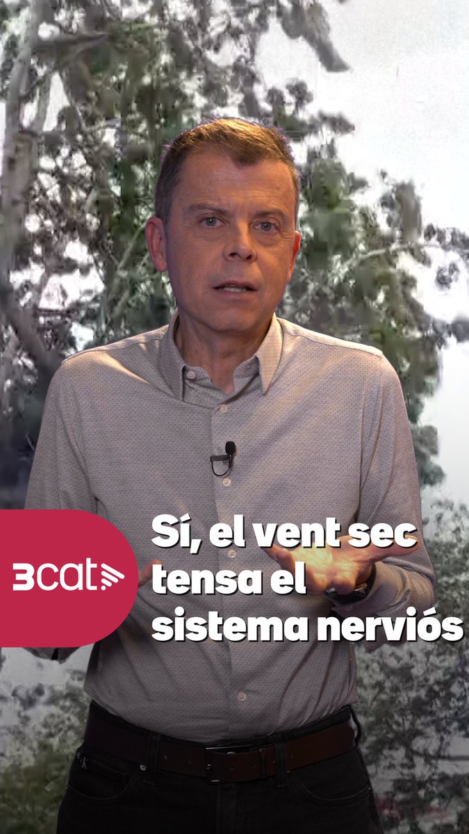 Les ventades ens afecten físicament i anímicament. Estar més ansiosos per culpa seva és normal i té fonament científic! Ens ho explica Francesc Mauri: és pel vent sec de ponent, la tramuntana o el llevant de l’Estret. Això fa que els seus ions dominants siguin els positius, que tensen el sistema nerviós. #ElTemps3Cat