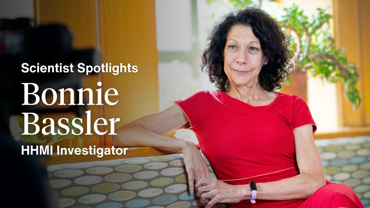 “We’ve shown that bacteria have this profound importance on earth,” HHMI Investigator Bonnie Bassler said. “They communicate with chemical words, they count their numbers, they act in groups, and they carry out tasks as collectives that they could never accomplish as individuals.” At Princeton University, Bassler leads research in quorum sensing, the process by which bacteria communicate with one another to carry out collective tasks. Her lab’s work could one day lead to an alternative to antibiotics. Learn more about her lab and their work:
