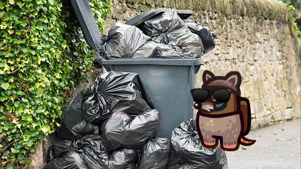 raccoonmate's already up to no good, WHAT HAVE WE DONE
