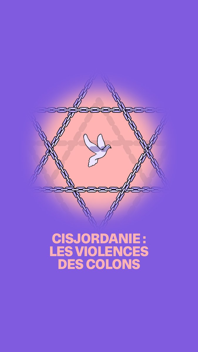 🇮🇱 FLASH | 363 attaques de colons ont été recensées en Cisjordanie en 2023.