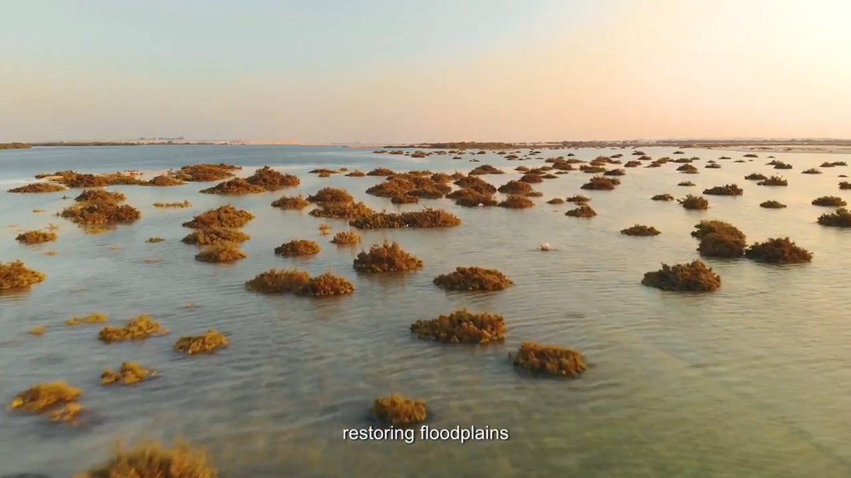 From droughts to floods, water is at the core of climate impacts. The Baku Dialogue on Water for Climate Action was launched at #COP29 to tackle water challenges and integrate water into climate strategies. Here’s why it matters: