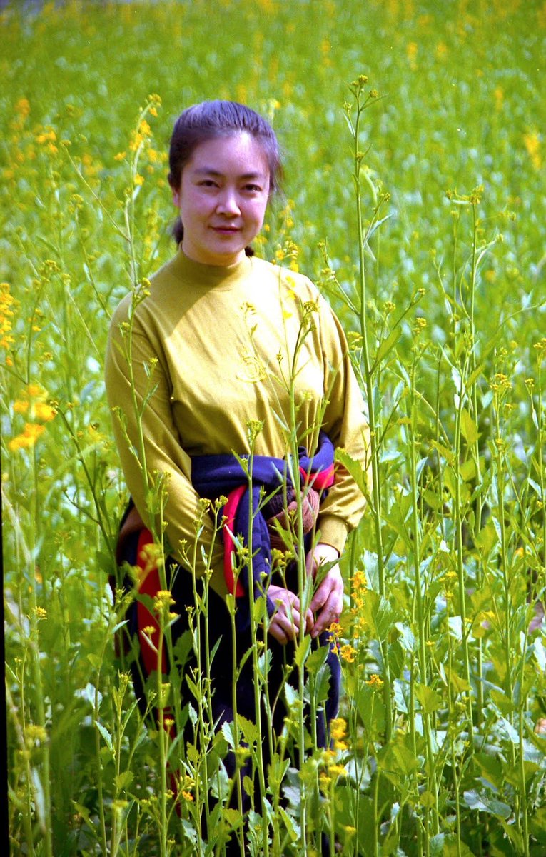 Reintroducing Myself (5): How Has Practicing Falun Gong Changed Me?