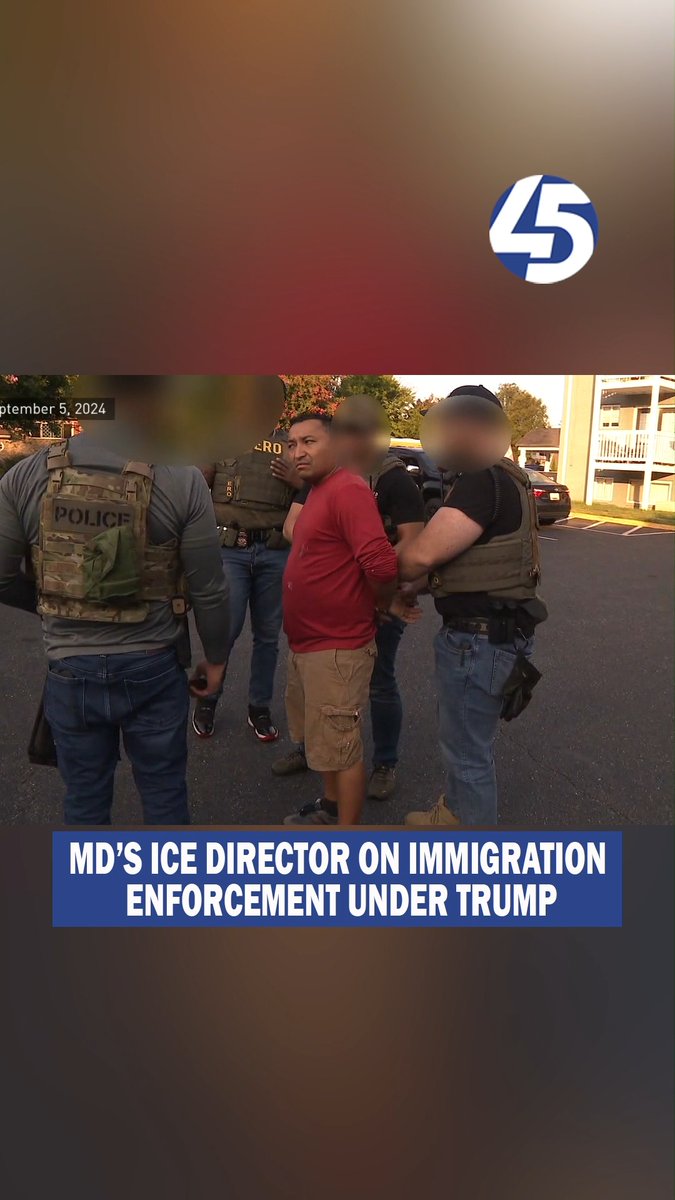 Baltimore’s Immigration and Customs Enforcement (ICE) field office has arrested a record-breaking 175 sex offenders this fiscal year.