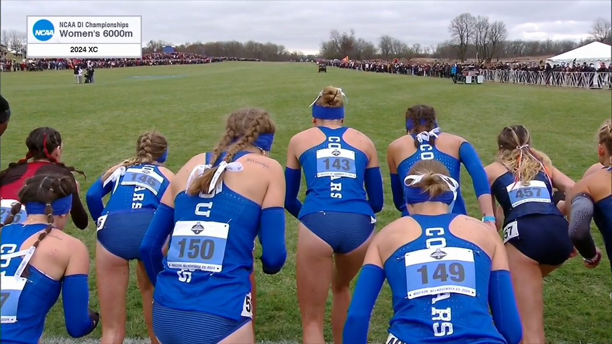 How could you not love XC?! The start of the NCAA Cross Country Championships is always one of the most mesmerizing sights