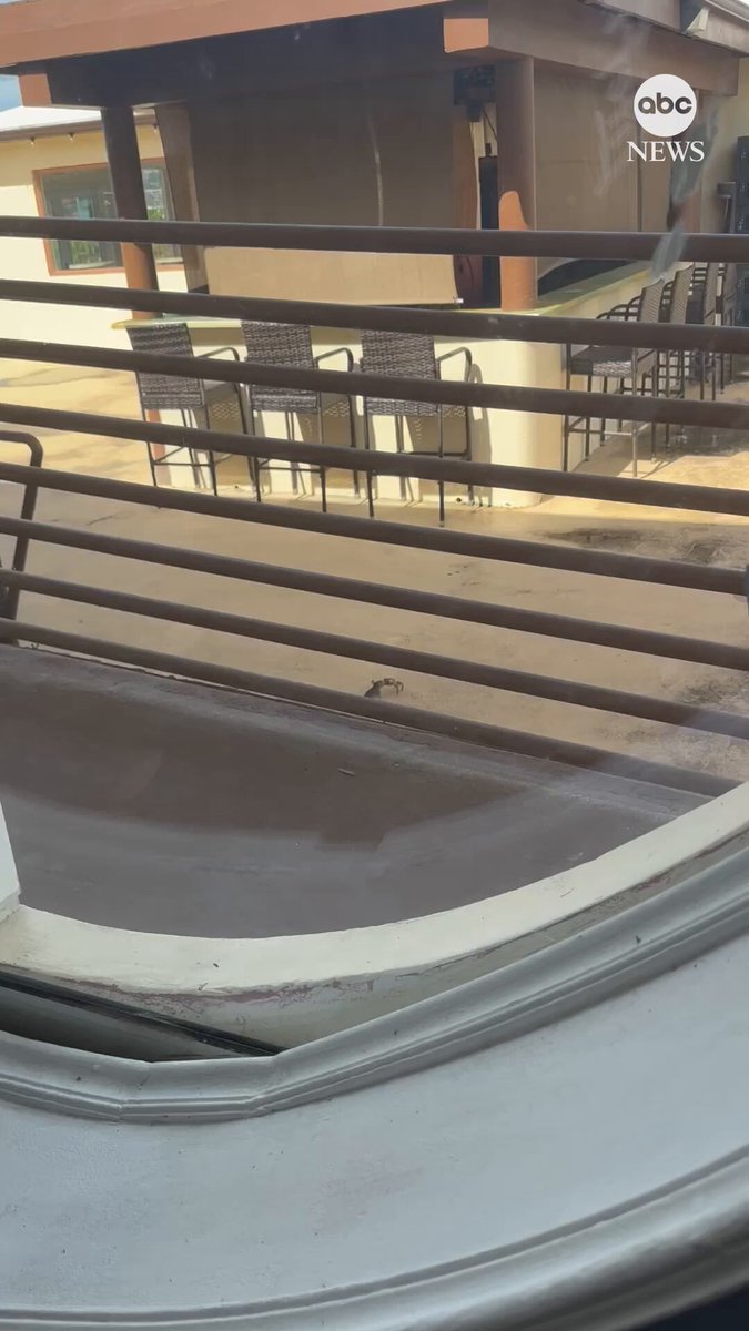Move over, Jake Paul and Mike Tyson. A mouse and crab threw up their dukes during a tiny tussle earlier this month in the U.S. Virgin Islands.
