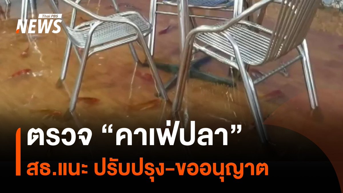 ตรวจ "คาเฟ่ปลา" สธ.แนะ ปรับปรุง และขออนุญาตให้ถูกต้อง แม้คาเฟ่มีระเบียบปฏิบัติแจ้งให้ลูกค้า หลังผู้ใช้สื่อสังคมออนไลน์วิจารณ์หลากหลายมุม #คาเฟ่ #คาเฟ่ปลา #กระทรวงสาธารณสุข #ชลบุรี #ท่องเที่ยว #ข่าวไทยพีบีเอส #ข่าวที่คุณวางใจ #ThaiPBSnews #ThaiPBS