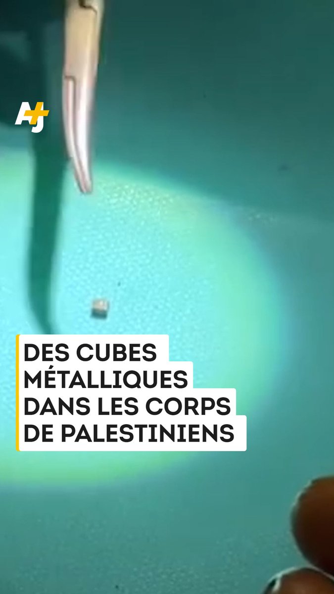 Israël utilise des armes qui transpercent les vaisseaux sanguins et les nerfs, pouvant provoquer la paralysie ou la mort.