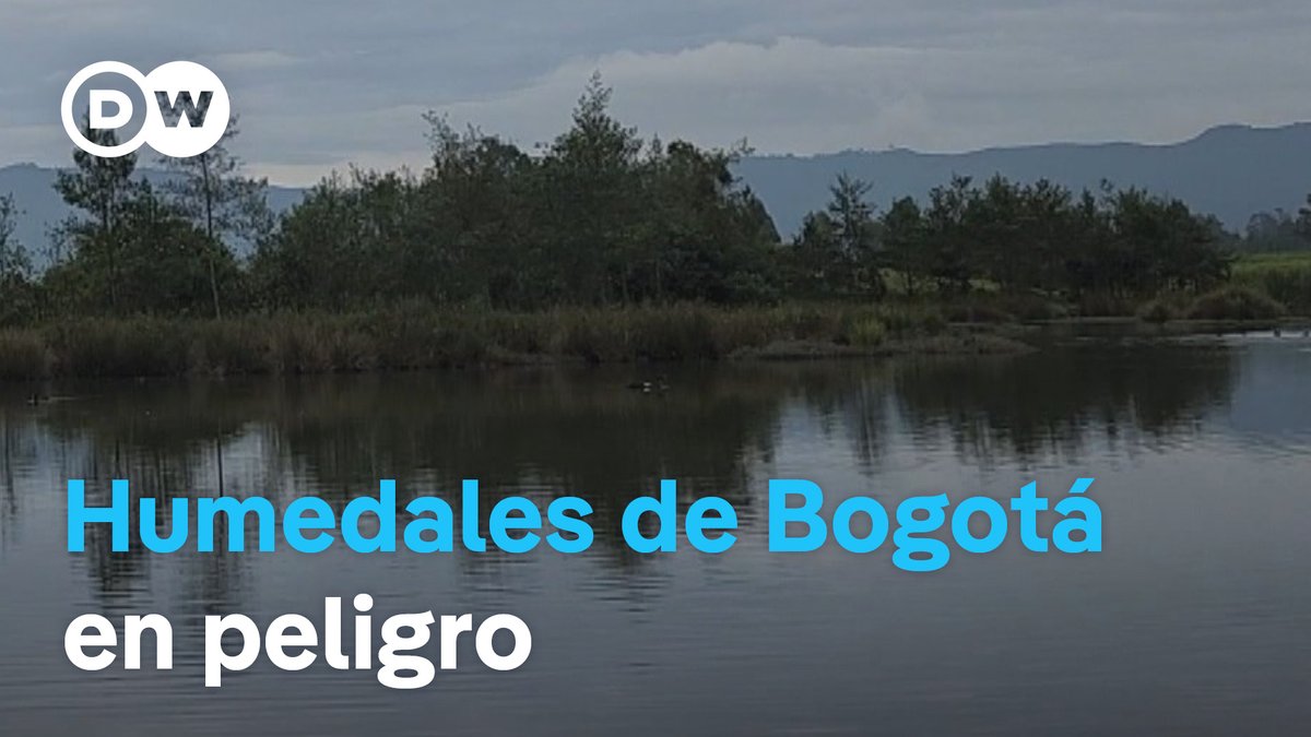 Les tocó venir un medio de comunicación internacional como DW Español para informarnos sobre lo INCONVENIENTE de construir sobre humedales y áreas de reserva natural, porque Caracol, RCN, Revista Semana, La FM y BluRadio no fueron capaces.