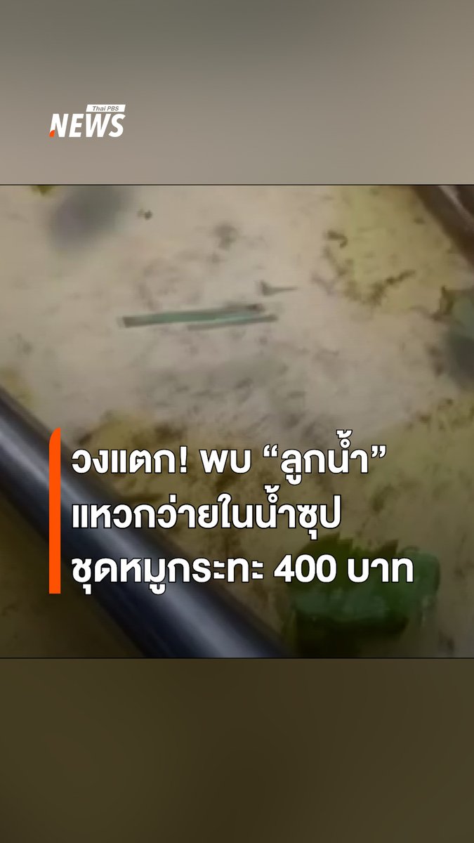 วงแตก! ชาวปราจีนบุรี ซื้อชุดหมูกระทะราคากว่า 400 บาท จากร้านแห่งหนึ่ง ระหว่างกินพบลูกน้ำว่ายอยู่ในน้ำซุป ระบุไม่เรียกร้องค่าเสียหาย แต่ต้องการให้ร้านใส่ใจเรื่องความสะอาดมากขึ้น #หมูกระทะ #ลูกน้ำ #ปราจีนบุรี #ข่าวไทยพีบีเอส #ข่าวที่คุณวางใจ #ThaiPBSnews