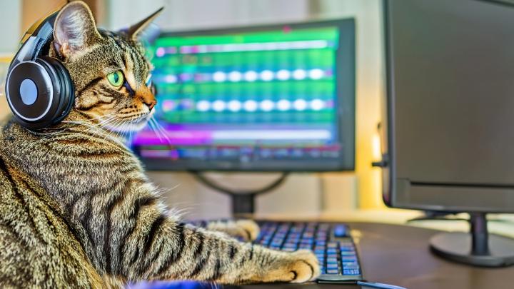 🎵 ✨The world’s most flexible sound machine? With text and audio inputs, this new #generativeAI model, named Fugatto, can create any combination of music, voices, and sounds.🎹 Read more in our blog by richardkerris ➡️ #NVIDIAResearch Note: Some music, sounds, and the voice of NVIDIA CEO Jensen Huang used in this video are AI generated.