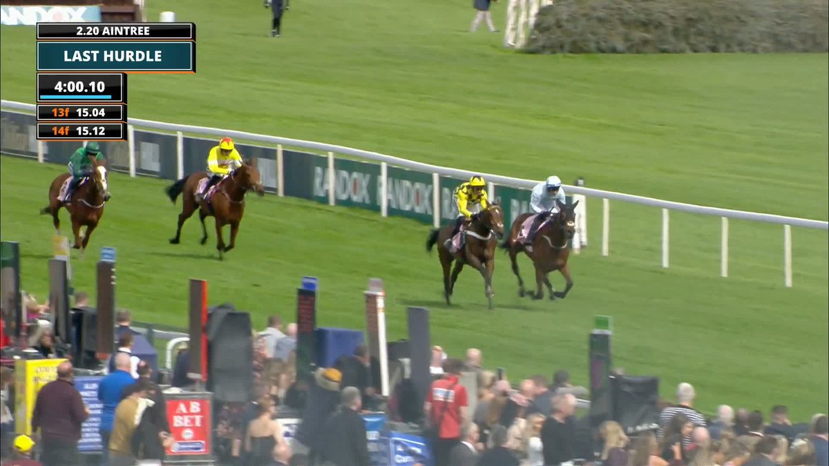 Who are you backing in the BetMGM Fighting Fifth Hurdle? 💷🏇 Does Sir Gino take your fancy? 🟡⚫️ #ITVRacing | Nicky Henderson
