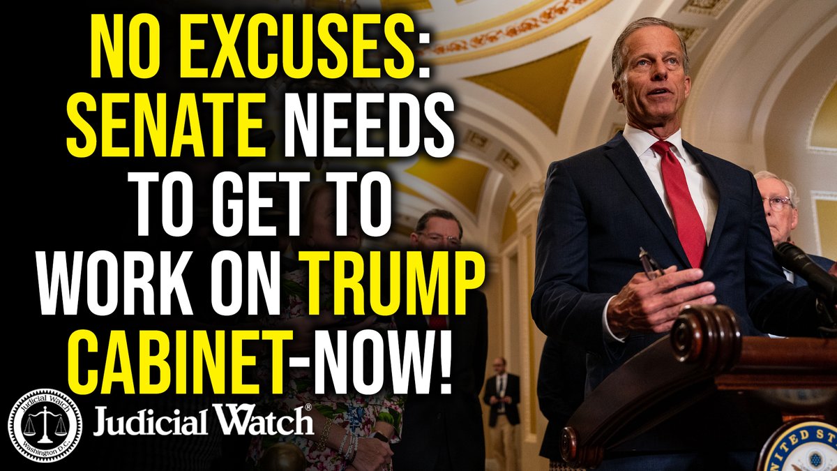 NO EXCUSES: SENATE NEEDS TO GET TO WORK ON Donald J. Trump CABINET - NOW! Call your Senators -- 202-224-3121!