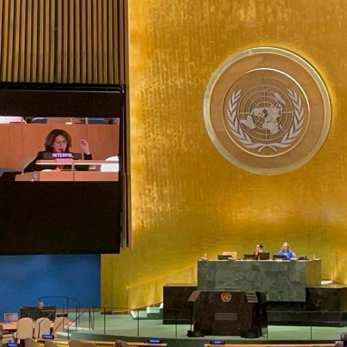 INTERPOL's Special Representative to the UN, Roraima Ana Andriani recalls the case of Rita Roberts who was only identified 32 years after her murder thanks to INTERPOL's #IdentifyMe campaign. #EndViolenceAgainstWomen
