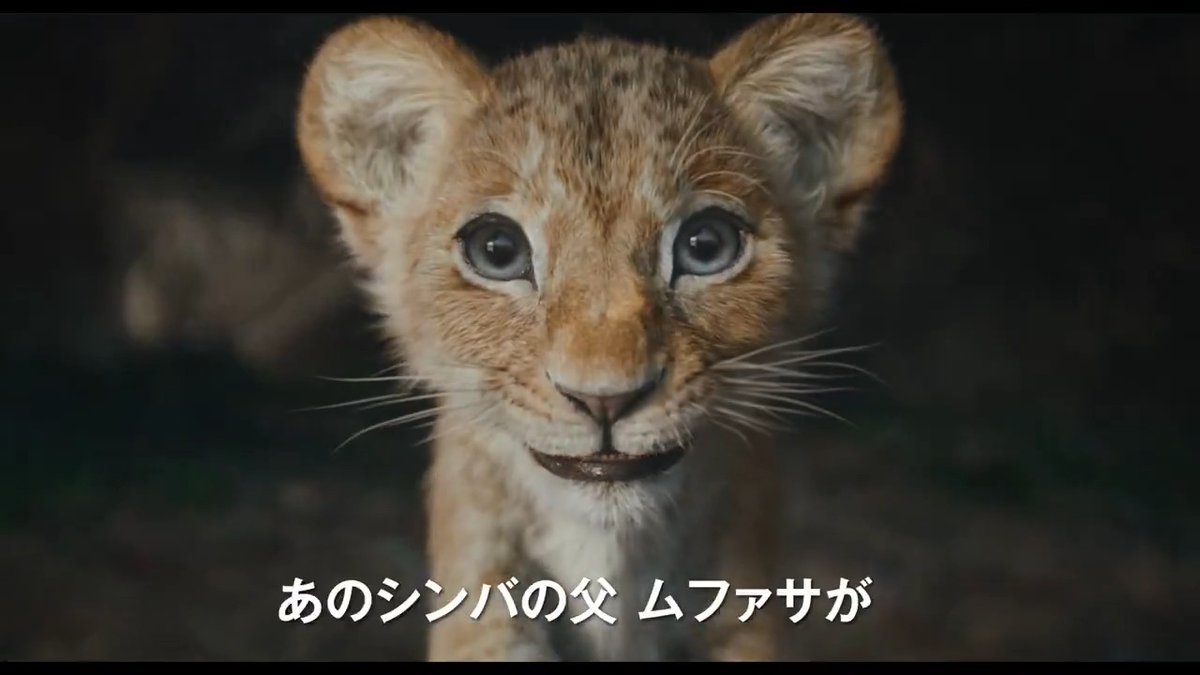 / ディズニー史上最も温かく 切ない“兄弟の絆”の物語🦁 「#ライオンキングムファサ」 🎁ジャパンプレミアに40名様をご招待! \ 【✨登壇者】 尾上右近、松田元太、渡辺謙、他予定(超実写プレミアム吹替版声優) 日時:12/16(月)夕刻 会場:都内某所 応募締切:12/4(水) フォロー&RPで応募📱 #PR
