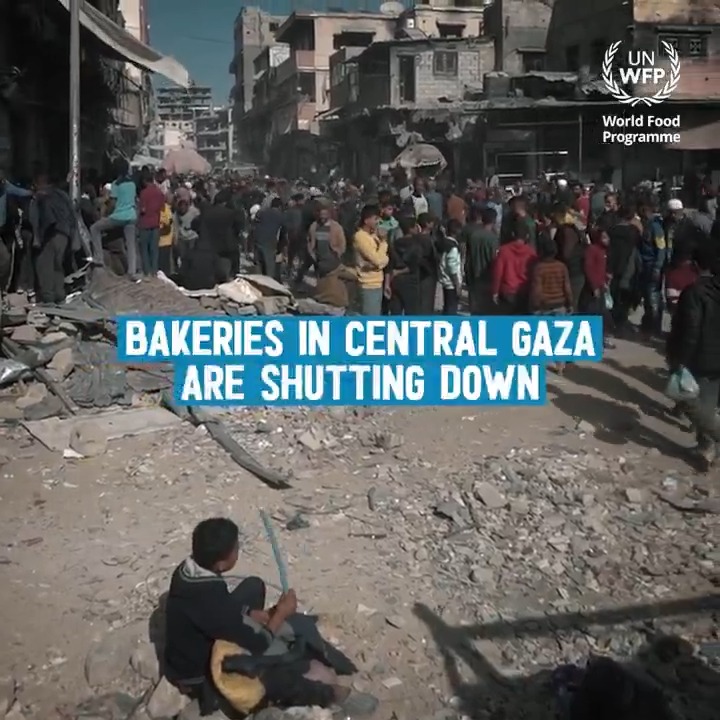 All bakeries in central Gaza have shut down due to severe supply shortages. As famine looms, these bakeries are a lifeline for families, representing one of the few remaining sources of food. World Food Programme is calling for greater humanitarian access into Gaza.