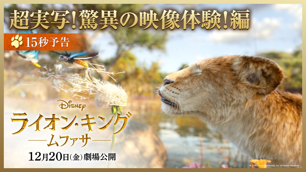 ディズニーが贈る 『#ライオンキングムファサ』𝟏𝟐/𝟐𝟎公開🦁 ✨超実写！まったく新しい映像世界 ✨豪華キャスト！超プレミアムな吹替 ✨忘れられない！楽曲の数々 12/19（木）先行上映決定🎬 驚異の進化を遂げた “キング・オブ・エンターテイメント” 一足先に堪能しよう🐾
