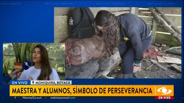 Daniela Assis, gestora social de Boyacá, habló de la conmovedora historia de una maestra y sus dos alumnos en el páramo de Pisba. Aseguró que en 2025 tendrán internet satelital y que por medio de material educativo mejorará su calidad de vida. Más en
