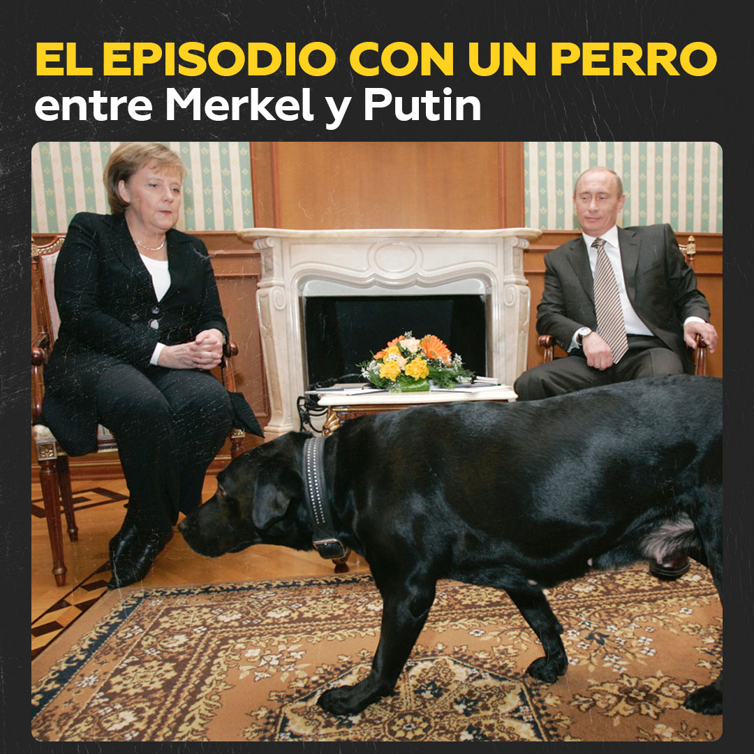 🐶 El episodio con un perro entre Merkel y Putin Putin compartió cómo se disculpó con Angela Merkel por el incidente del perro, asegurándole que no se repetirá si ella regresa 🎥 Más videos en VK 👉