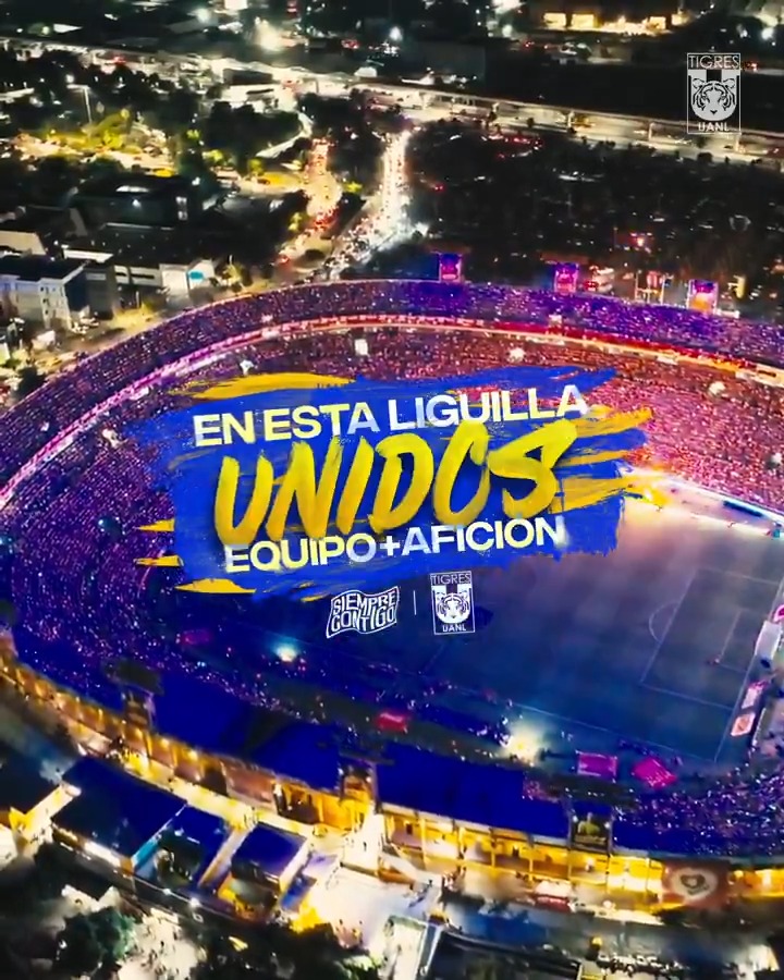𝑺𝒐𝒎𝒐𝒔 EQUIPO, 𝒔𝒐𝒎𝒐𝒔 AFICIÓN, 𝒔𝒐𝒎𝒐𝒔 𝒍𝒐𝒔 TIGRES y 𝒗𝒂𝒎𝒐𝒔 JUNTOS 𝒉𝒂𝒔𝒕𝒂 𝒆𝒍 𝒇𝒊𝒏𝒂𝒍…