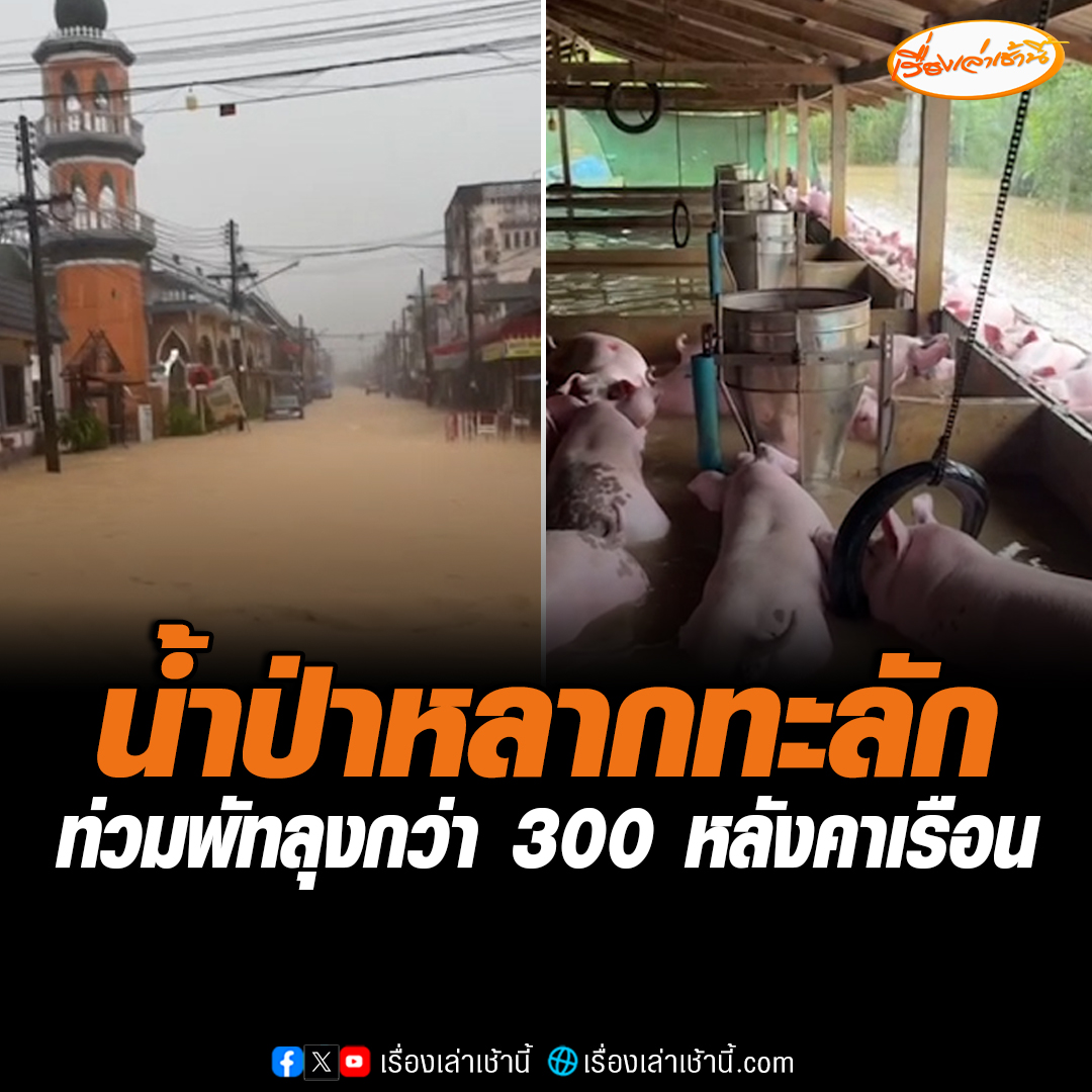 น้ำป่าสีแดงขุ่นทะลักเข้าท่วมบ้านเรือนใน อ.ปากพะยูนและ อ.กงหรา จ.พัทลุง ท่วมบ้านเรือนไปแล้วกว่า 300 หลังคา เจ้าหน้าที่ทหารเร่งเข้าช่วยเหลืออพยพผู้ป่วย และหมูของชาวบ้าน ไปไว้ในที่ปลอดภัย #เรื่องเล่าเช้านี้ #ข่าวช่อง3 #ข่าวภูมิภาค #น้ำท่วมภาคใต้