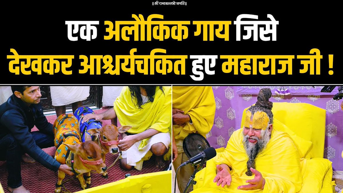 एक अलौकिक गाय जिसे देखकर आश्चर्यचकित हुए महाराज जी ! Bhajan Marg
