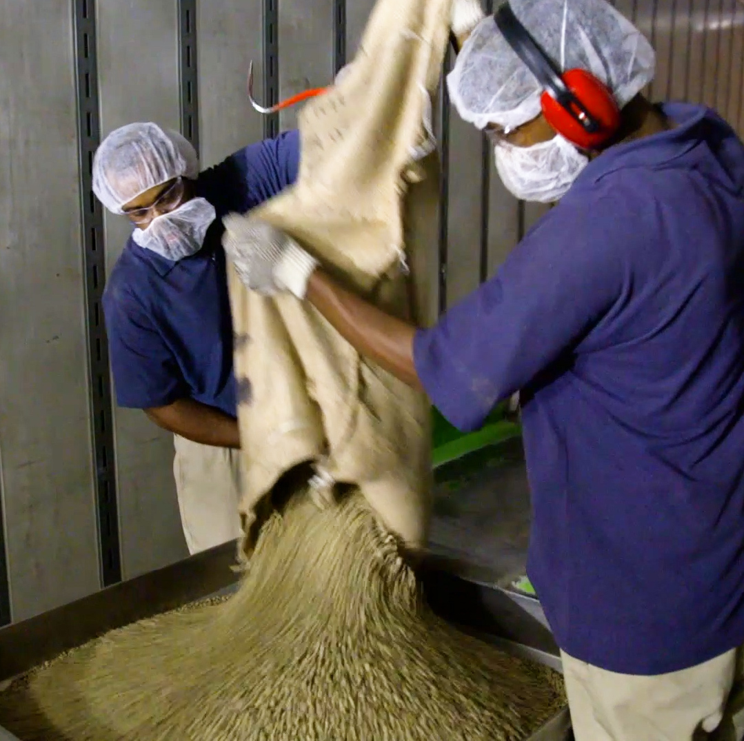 Ford turns used coffee beans into car parts