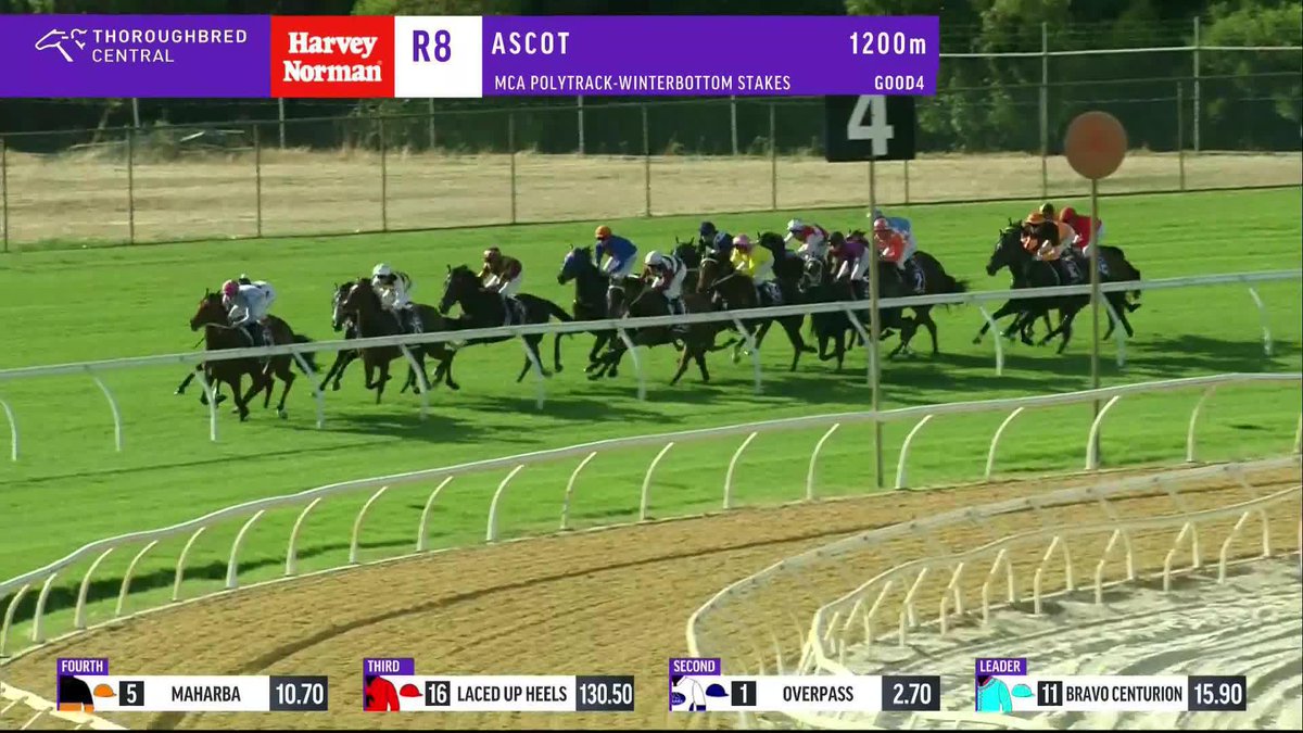 Overpass! That's back-to-back Winterbottom Stakes and he extends his unbeaten record at Ascot to four! 💯 Job done for Bjorn Baker Racing and jockey Joshua Parr ✅