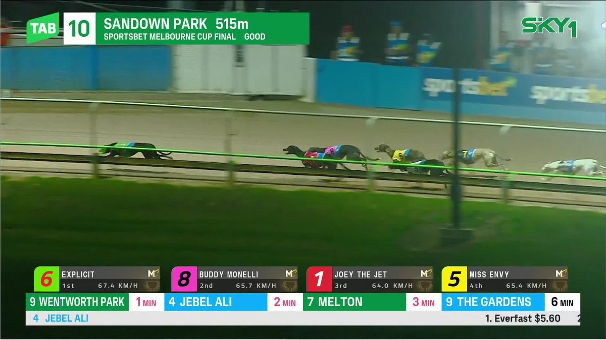 Explicit wins the 2024 Melbourne Cup! 🏆 Sandown Greyhounds TAB
