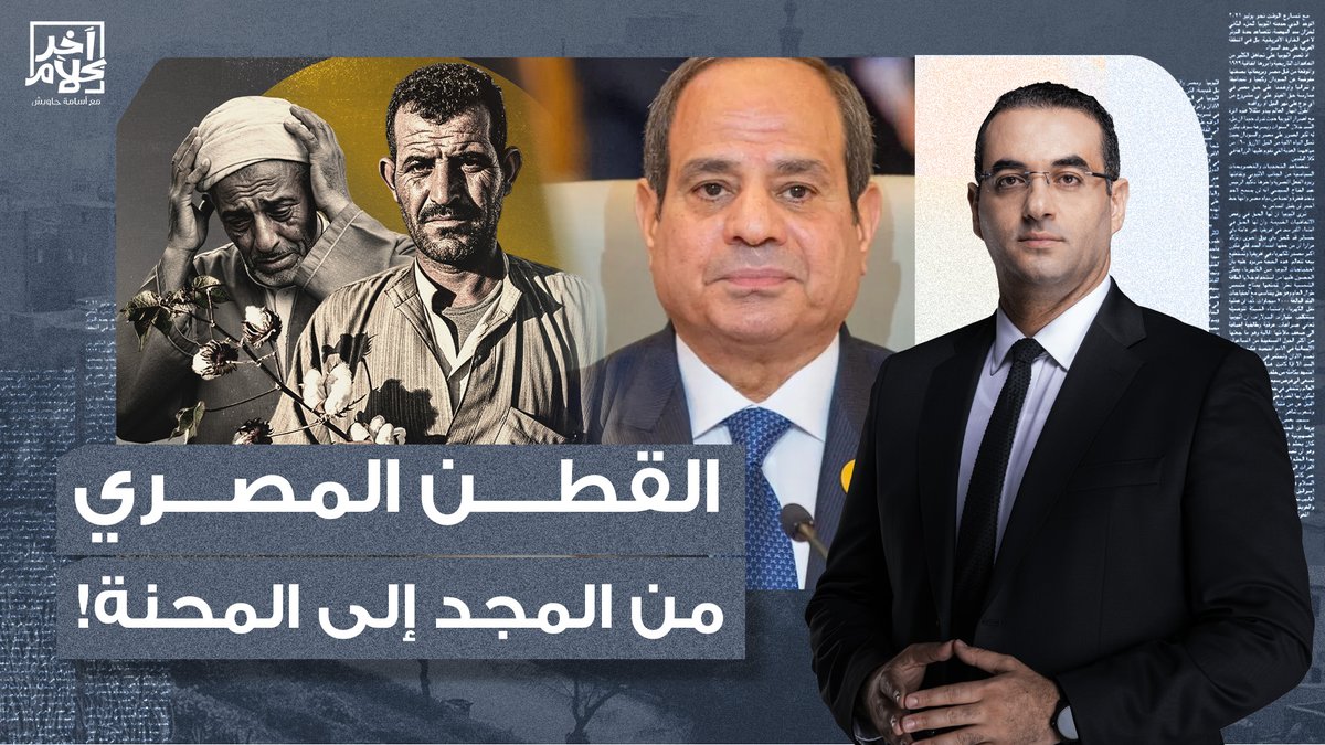 أسامة جاويش: انتكاسة زراعة القطن المصري.. برافو يا سيئ الذكر أرجوك استمر في الغباء!