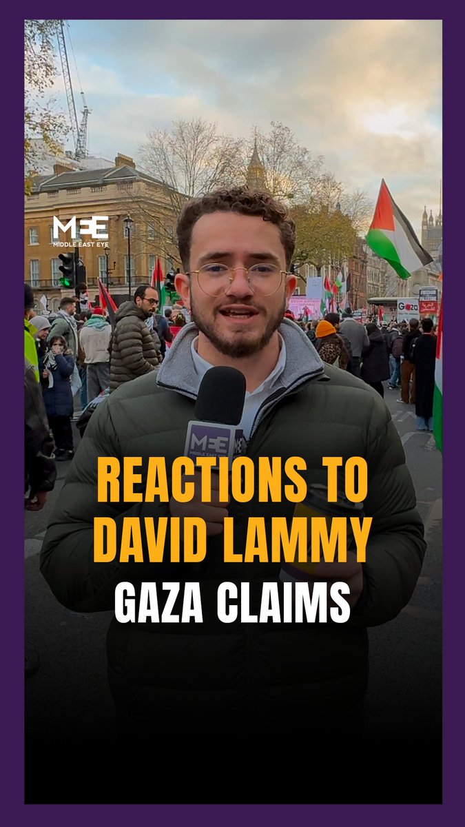 The British Foreign Secretary, David Lammy, claimed that “there are no journalists in Gaza,” at a meeting in parliament. MEE went on the ground to the UK’s National March for Palestine on Saturday, to ask protesters what they thought of the Foreign Secretary’s comments