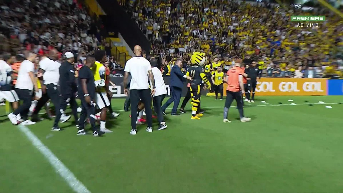 O momento em que o mascote do Criciúma chega de maca em frente a torcida do Corinthians e jogadores pra dar uma zoada e a galera vai atras pra pegar ele 📽️ GE