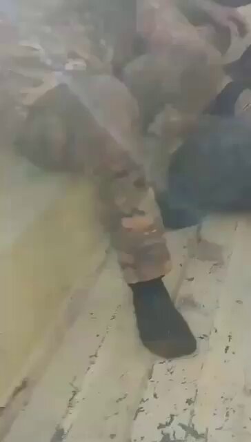 Video footage shows the abuse and humiliation of #Kurdish prisoners, including female fighters, by armed Syrian opposition factions in #Aleppo and the Tal Rifaat area. Pro-Turkish opposition militants describe the Kurdish prisoners as pigs and enemies of God in a scene similar to the crimes of #ISIS against the Kurds and minorities.