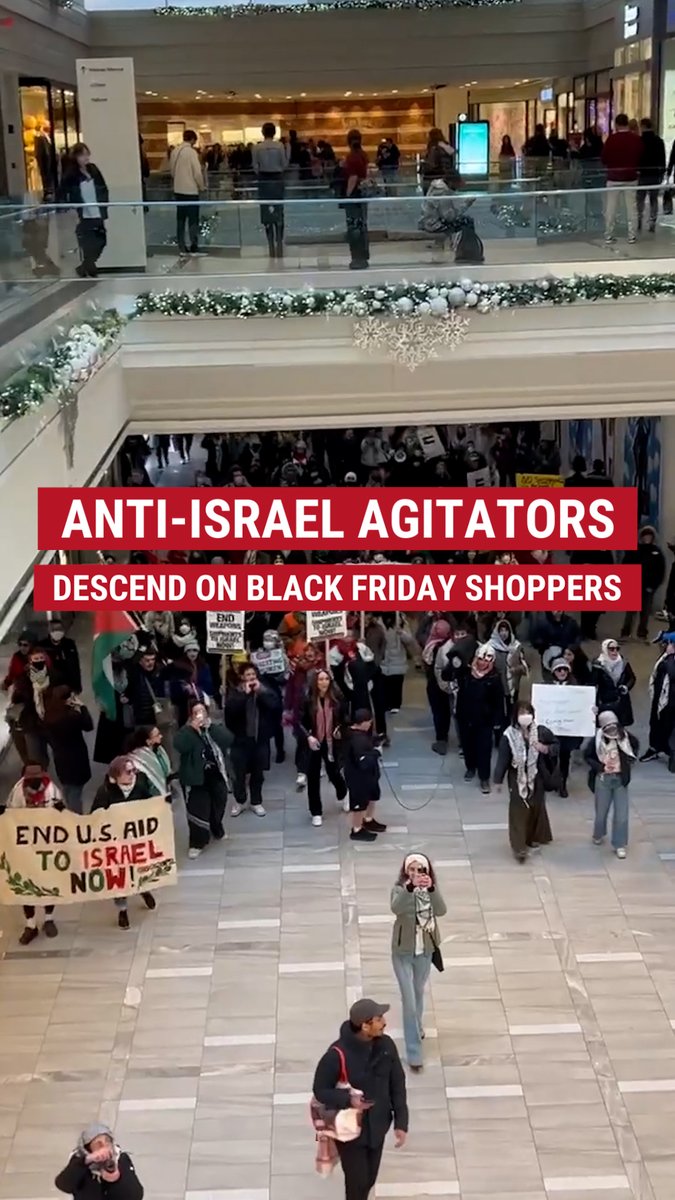 MALL MAYHEM: Black Friday shopping was disrupted by hundreds of anti-Israel agitators at Copley Place in Boston, Massachusetts.