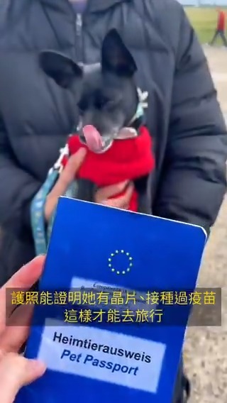 在德国，狗狗需要护照才能到德国境外旅游。宠物护照能证明狗狗有芯片、接种过疫苗。#dwberlinfresh