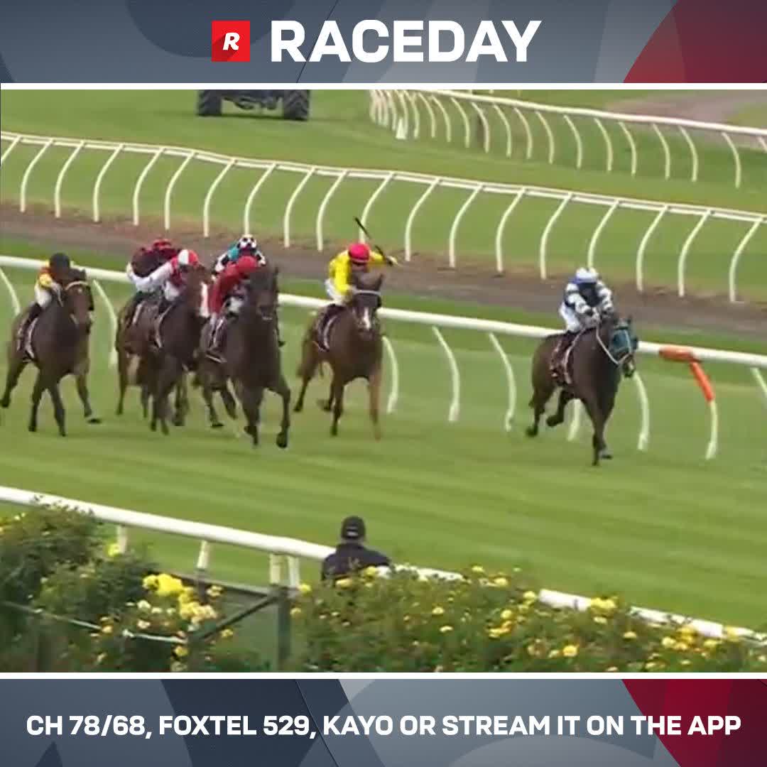 "Absolute moral, looked a moral before the race as tipped by me." Terry Bailey picks up the call from the studio as Boom Boom Ray wins softly on the line 💪 Gavin Bedggood Racing Jamie Mott