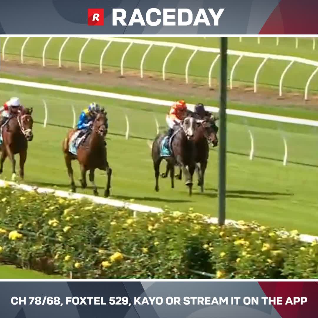 The favourite Big Me eases home for his first win on Australian soil 💪 Nick Ryan Racing Blake Shinn