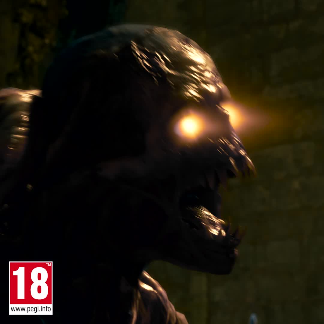 La Citadelle des Morts vous attend 🏰 Ce village médiéval abandonné cache un pouvoir aussi incroyable que dangereux. Survivez à la horde et venez à bout d'horreurs en quête de nouvelles proies dans la Saison 1 Rechargée, disponible le 5 décembre 🧟