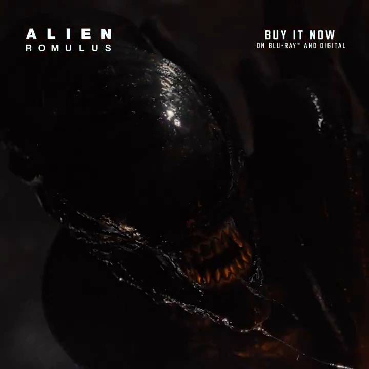Bring the terror home. Buy #AlienRomulus now on Blu-ray™, DVD, and 4K UHD™ including the Limited-Edition Steelbook®. Also available on Digital.
