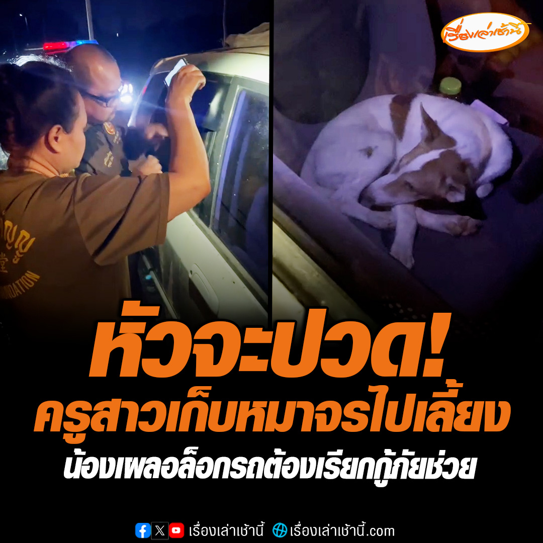 โถลูก...ครูสาวหัวจะปวด เก็บหมาจรข้างทางนำมาเลี้ยง ถึงบ้านพักจอดรถติดเครื่อง ให้นอนรอในรถ ปรากฏรถเปิดไม่ได้ คาดน้องหมาในรถเผลอไปกดล็อกประตูอัตโนมัติ สุดท้ายต้องตามกู้ภัยมาช่วย เจอน้องหลับสบายใจตะโกนเรียกไม่ยอมตื่น #เรื่องเล่าเช้านี้ #ข่าวช่อง3 #ข่าวภูมิภาค #สิงห์บุรี
