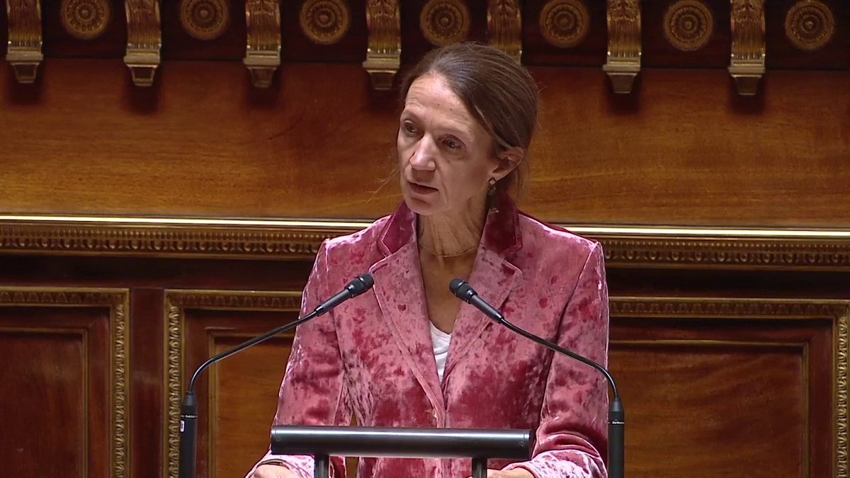 « Alors que les dés de la censure semblent déjà jetés, l’avenir de la nation est hypothéqué par la fièvre de la sédition. La gauche révolutionnaire et la droite lepéniste ont décidé d’allier leurs voix pour renverser le gouvernement », dénonce Vanina Paoli-Gagin