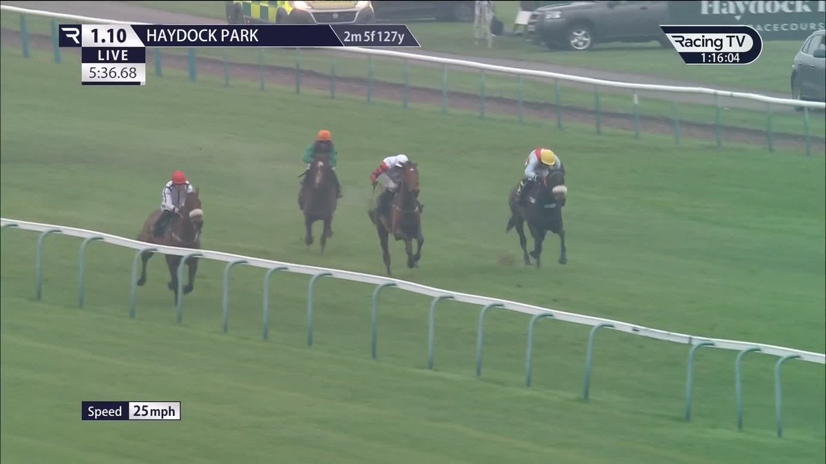 🦏 The Rhino delivers again over fences 2-2 for White Rhino this season Greenall Guerriero Racing Haydock Park Races
