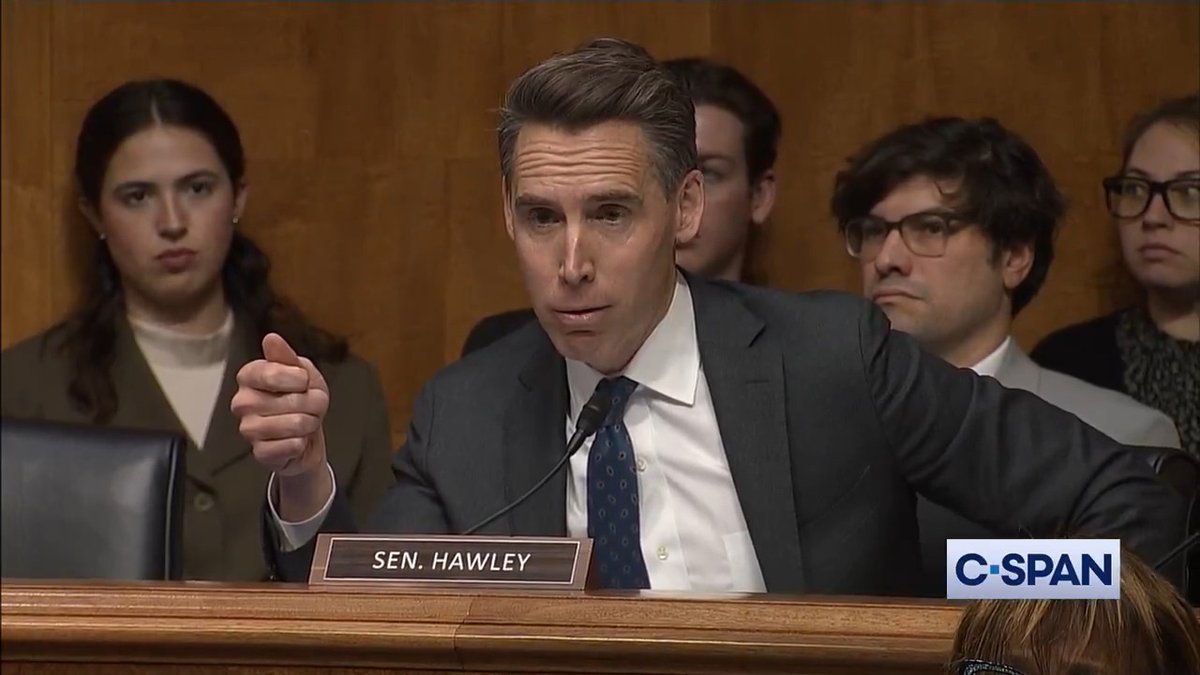 Sen. Josh Hawley to airline executives: "You guys do appreciate that flying on your airlines is a disaster, don't you?...flying on your airlines is horrible. It's a terrible experience...Nobody enjoys flying on your airlines. It's a disaster."