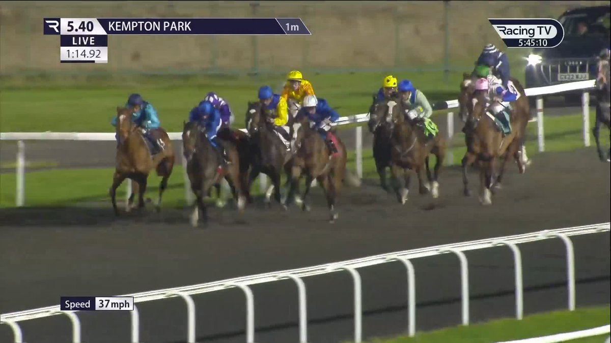 🤌 That was lovely Taking turn of foot from Kingman colt First Principle Kempton Park Racecourse 👇🏻